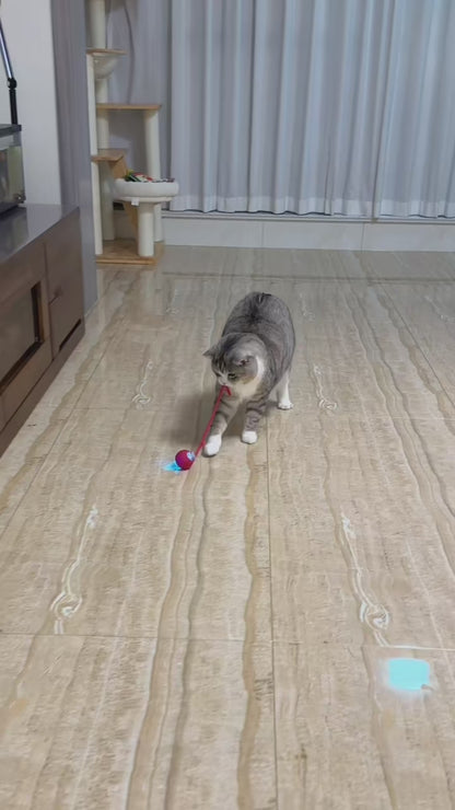 Pelota Inteligente Interactiva para Gatos